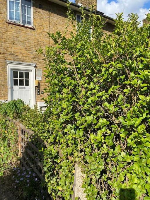 One Bedroom Putney Village Flat 런던 외부 사진